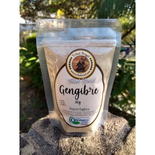 Gengibre em Pó Orgânico - Pacote - 60g