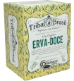 Chá Orgânico de Erva-Doce
