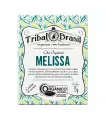 Chá  de Melissa Orgânica (Puro) - Caixa - 15 Sachês - 15g