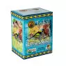 Chá Orgânico de Erva Doce