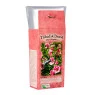 Chá Orgânico Hibiscus Lime 2